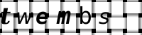 CAPTCHA image